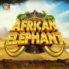 African Elephant™