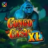 Congo Cash XL