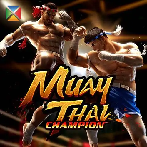 Muay Thai Champion