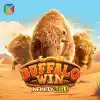 Buffalo Win