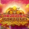 Wild Dragon's Fortune